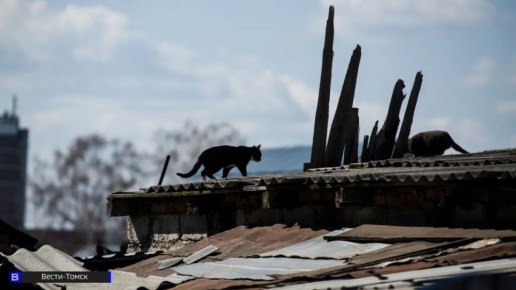 В Ленинском районе Томска снесли аварийный дом на Большой Подгорной