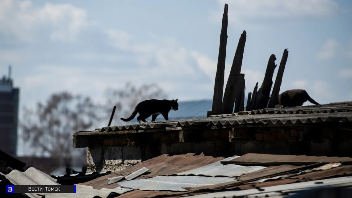 В Ленинском районе Томска снесли аварийный дом на Большой Подгорной