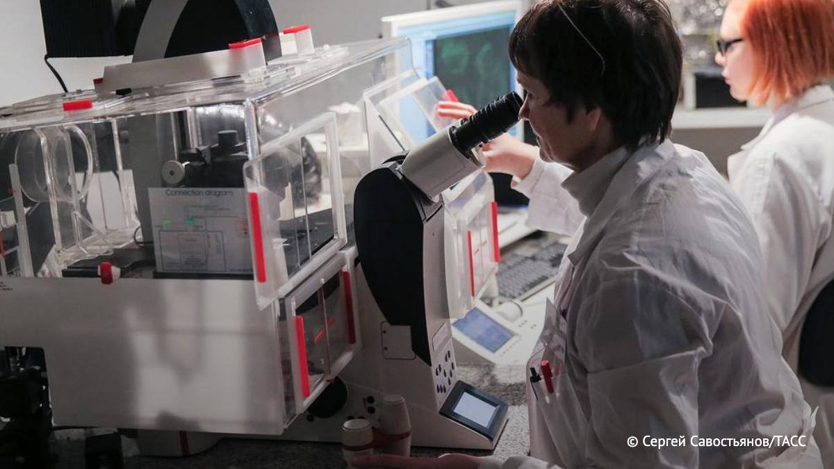 В Томске нашли способ в семь раз снизить скорость коррозии у имплантов, что критически важно для материалов, постоянно контактирующих с биологическими жидкостями, сообщили ТАСС в ТГУ