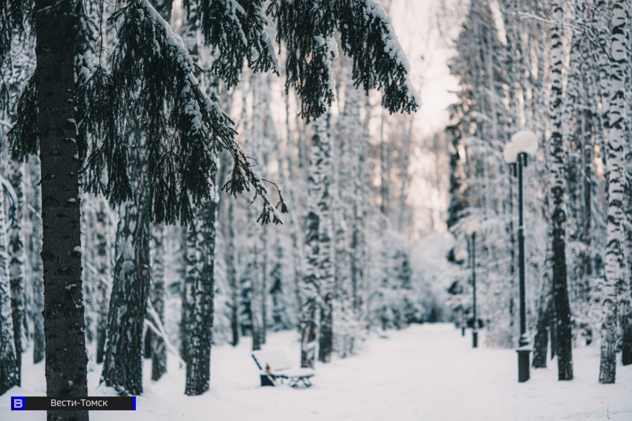 Томск погрузился в хрустальную сказку - фоторепортаж Томск погрузился в хрустальную сказку - фоторепортаж