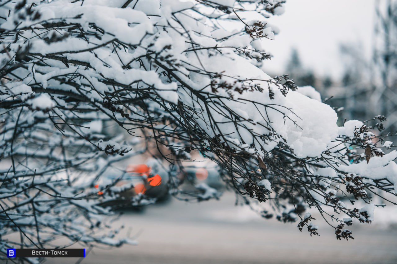 Томск погрузился в хрустальную сказку - фоторепортаж Томск погрузился в хрустальную сказку - фоторепортаж