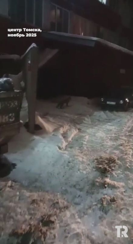 ���� � ������ ����� �� ������ ����� � ������ ������