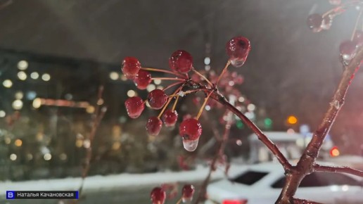 Гороскоп на 26 ноября 2025 года для всех знаков зодиака