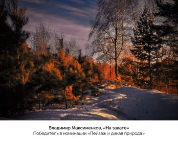 Названы лучшие фотографии конкурса «Призма-2025»