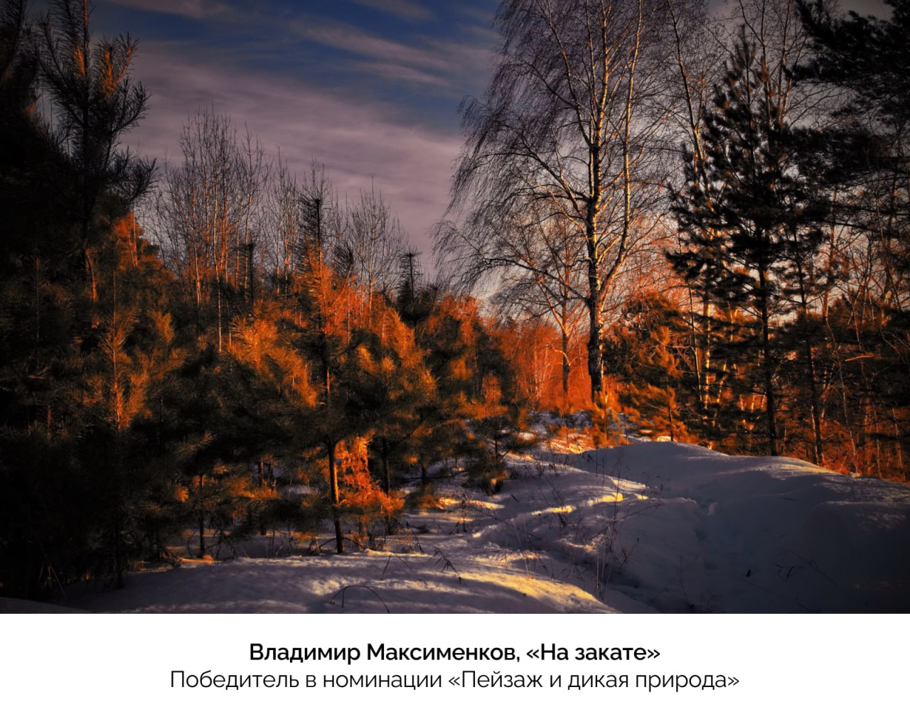 Названы лучшие фотографии конкурса «Призма-2025»