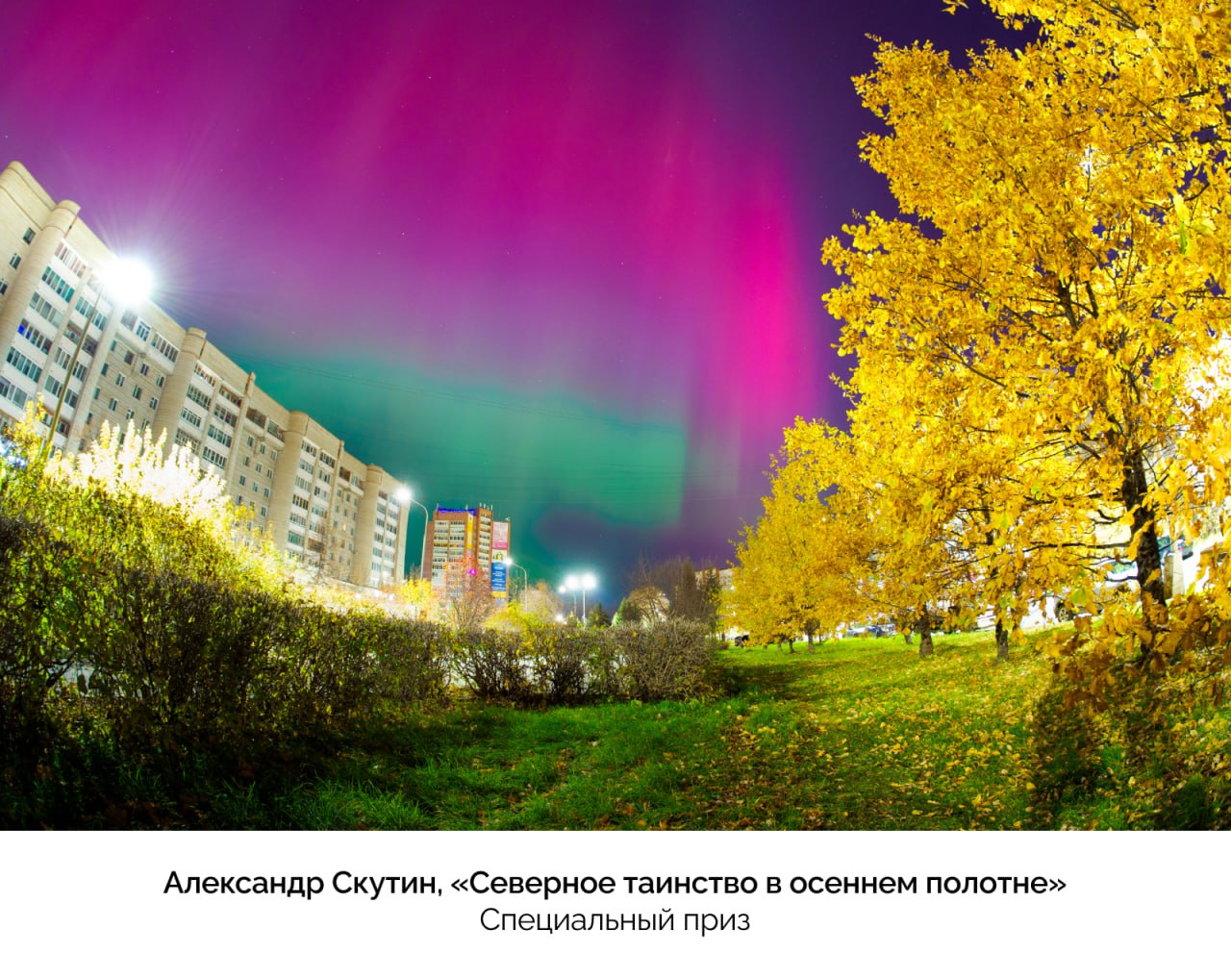 Названы лучшие фотографии конкурса «Призма-2025» Названы лучшие фотографии конкурса «Призма-2025»