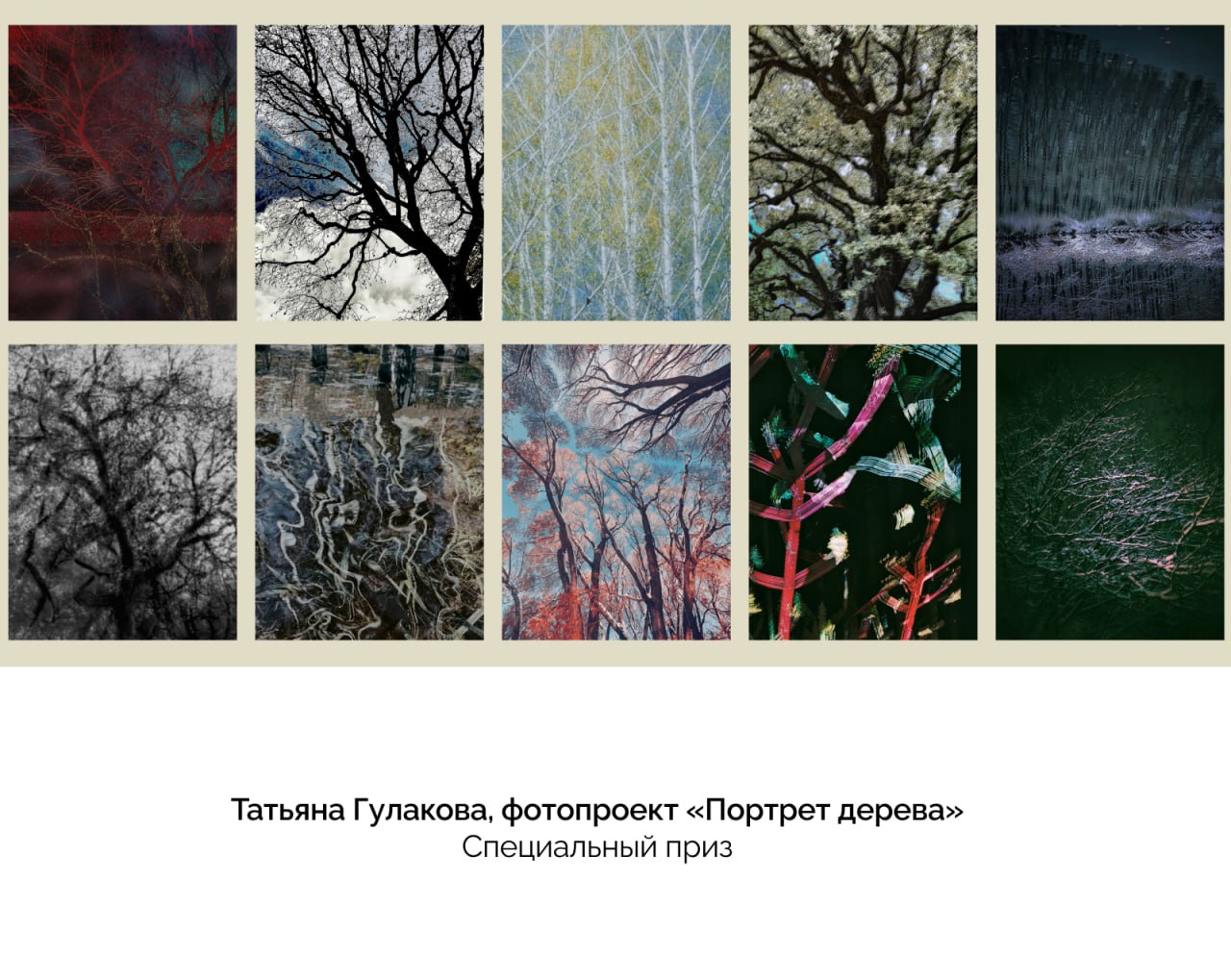 Названы лучшие фотографии конкурса «Призма-2025» Названы лучшие фотографии конкурса «Призма-2025»