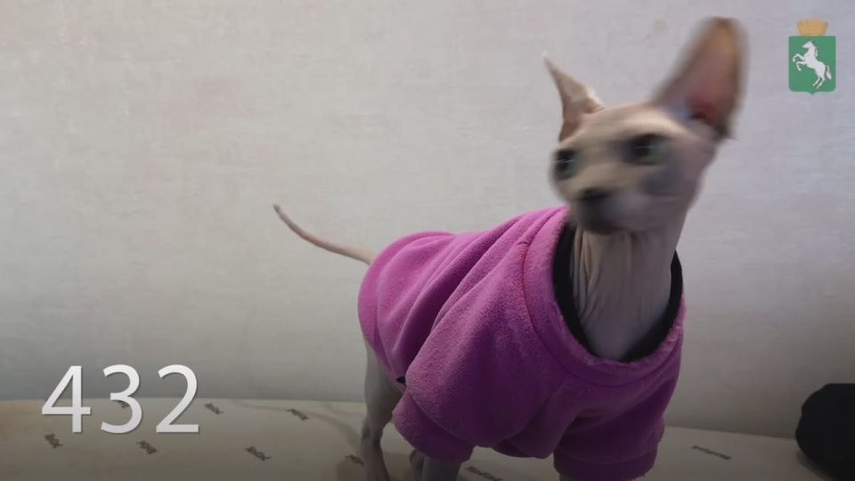 ������� ������: � ���� ������, ������� �������!