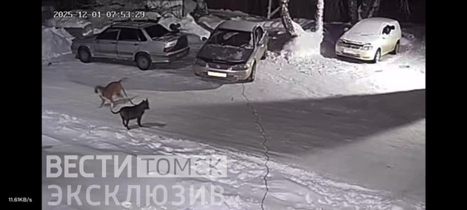 ��������� �����: ���������� ������ ��� ���� ������ � ������ ������� � ������� ������