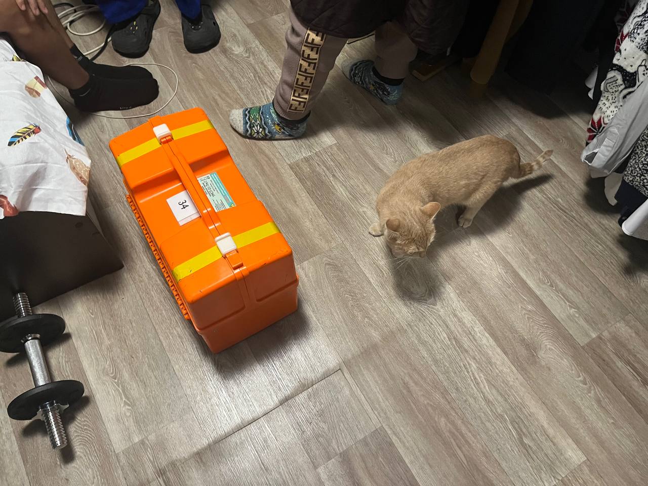 Что происходит на «скорой», когда мы нажимаем три знакомые цифры? Что происходит на «скорой», когда мы нажимаем три знакомые цифры?