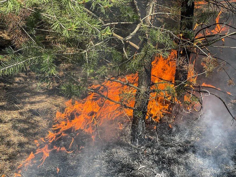 ������������� �� �������� ������� 2,6 ���� ���