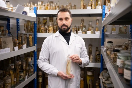 Томские ученые впервые определили, что минога, которая хранилась более 100 лет в Зоологическом музее университета, — самец, сообщили ТАСС в Минобрнауки РФ