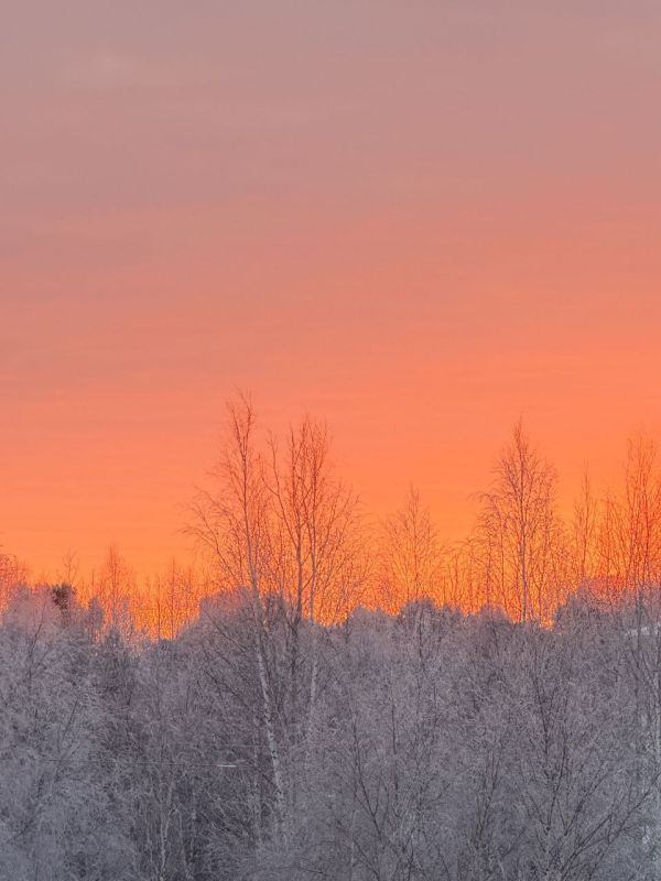 �������� ����� �� ����������