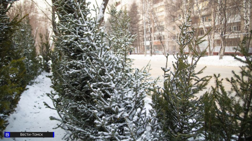 � ������ ������ ������ ������� ������