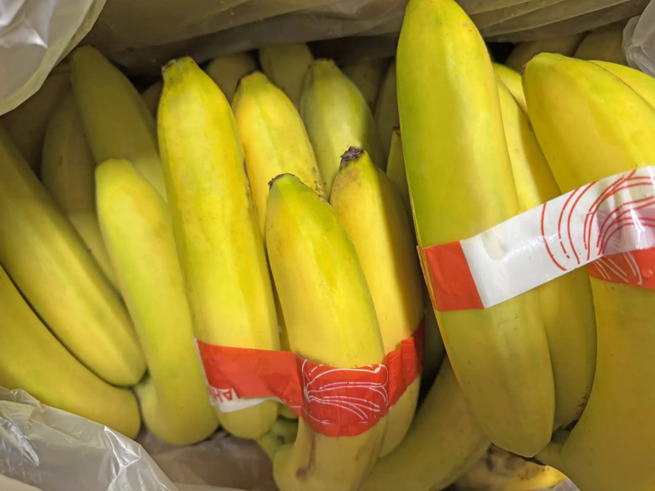 Кемеровские таможенники фиксируют рост поставок бананов в Томскую область Кемеровские таможенники фиксируют рост поставок бананов в Томскую область