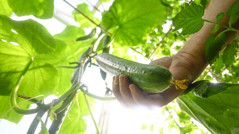 �������� � ��������������� ���������� �������: ����� ����� ��������� ���� �� �����������