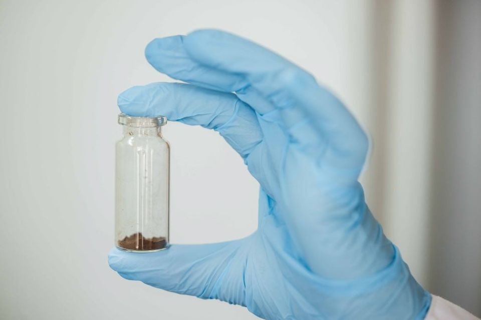 ������ �������� �������� ������� ����������� - "�����������"