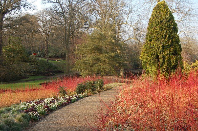 ������ � �������-�������� ��������: ���� ����������� � ������ �� �����