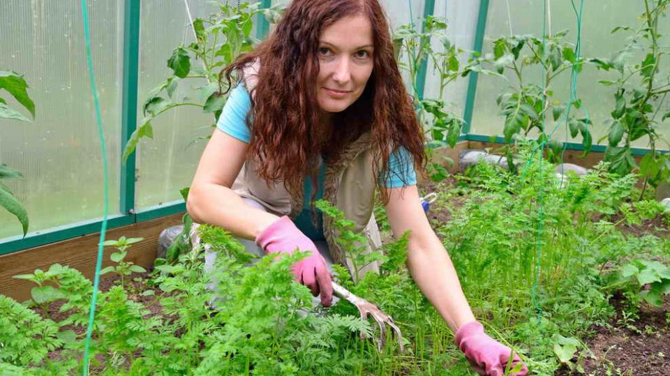 ��� ������� ������ �������� ��������� ����� �� ���� �� ��������