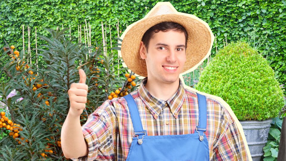 �� ������������ �� ����� ������� �� ����: �� ������� �������� ��� �� �����������