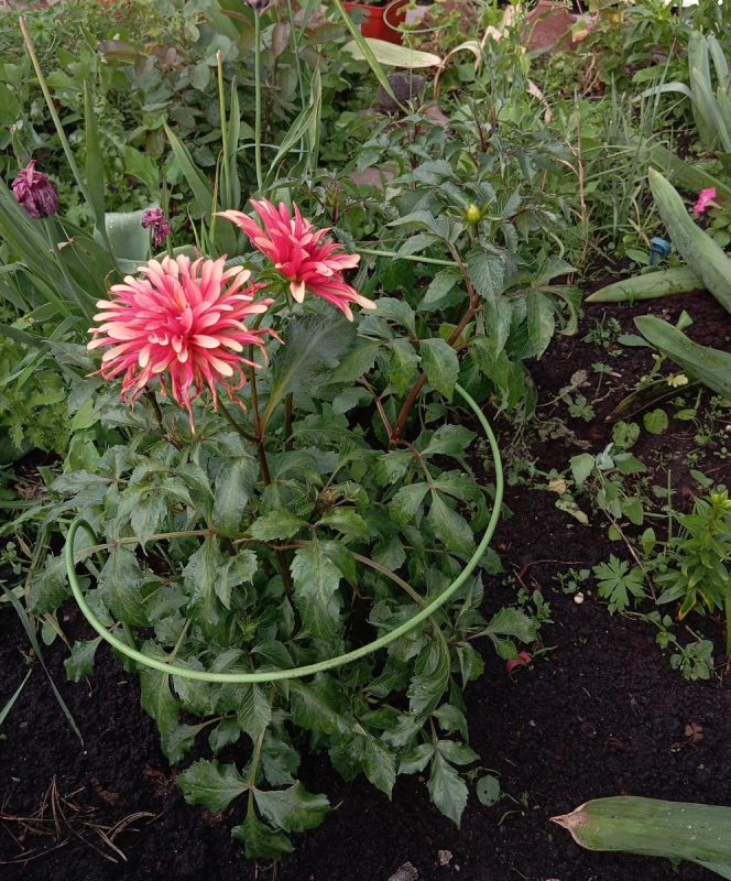 �������� � �����: ������� ��������� ����������� �� �������� ��������