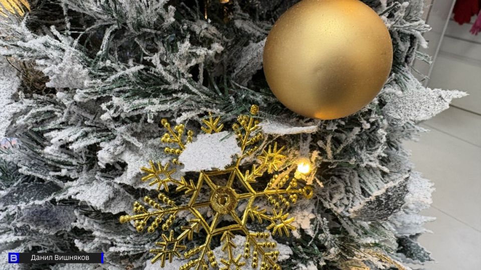 Томичам рассказали как выбрать новогоднюю ель