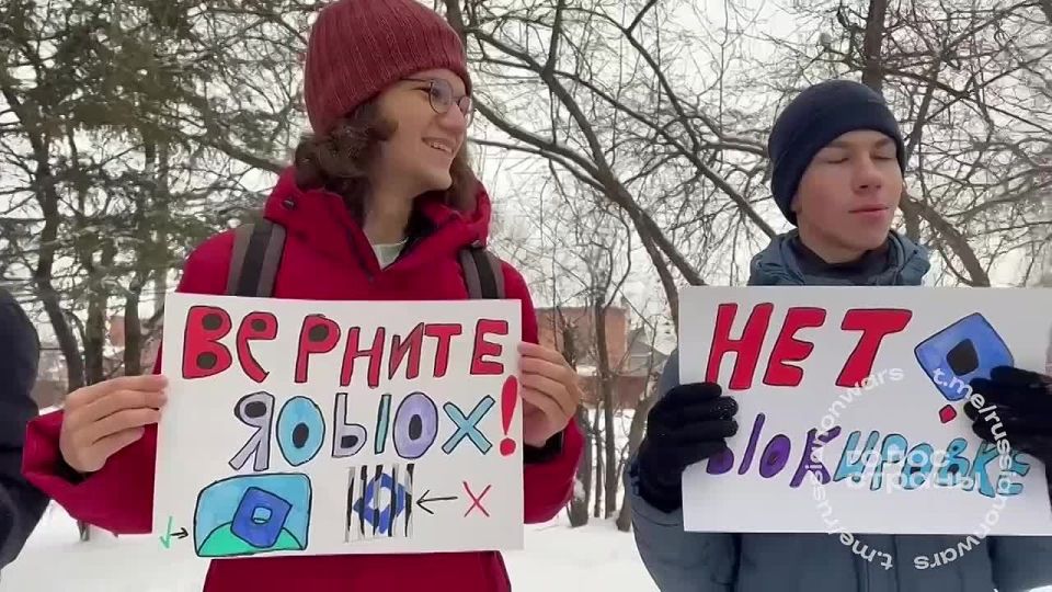 В Томске прошел первый в стране пикет против блокировки Roblox
