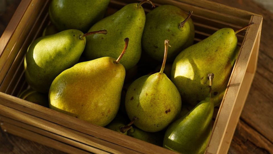 ������� � ��������� �� �����������: ������ �������� ��� ����� ����� �����