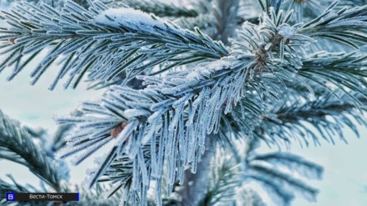 40-градусные морозы вернутся в Томскую область в выходные