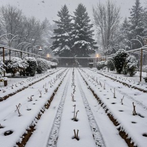 ��� ����������� ������ � ����: ������ ��� ��������� �������� ������