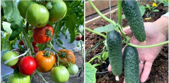 ������� ���������� ������� ������� � ������� � �������