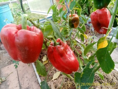 ������� ����� �������� �����: ��� ����� ����������� � ���� ������