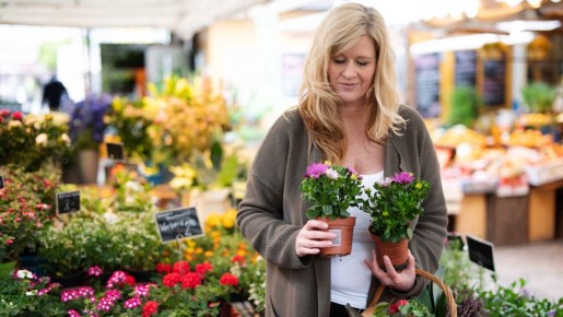 ��������� � �������� ������ �� �������� � ������: ��� ��� ����� ������� ����