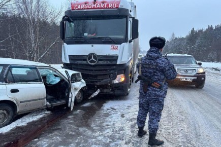 Росгвардейцы спасли томича после ДТП с грузовиком