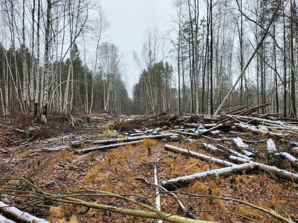 ����������� �������������� ������ ������� ������� ��������� � ��� ��������� ���� � ���������� ����� ������ ���������� �� ����� ����� ����� 700 ���