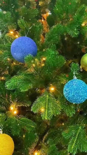 «Ёлка желаний» для маленьких жителей области