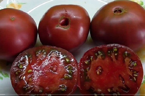 ׸���� ����� �����: ���������� ��������� ��� ������ �������