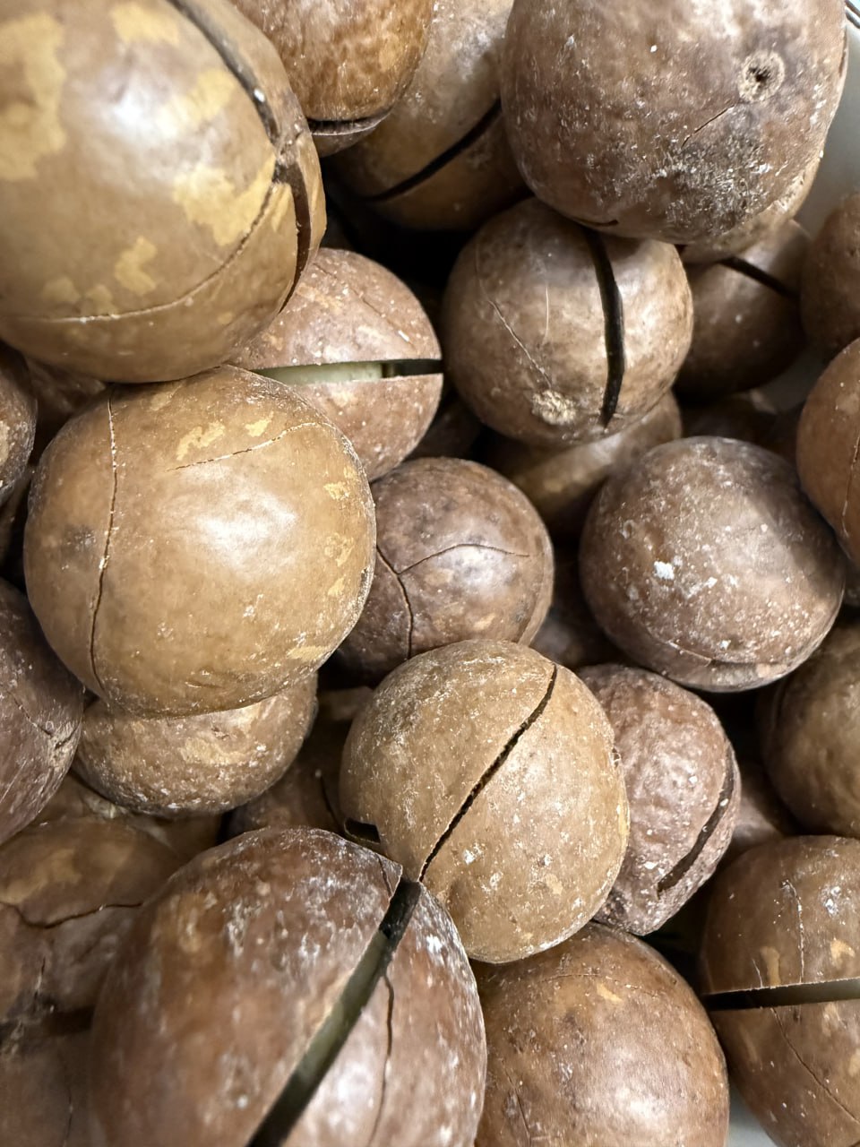 Миндаль, кешью и фундук: в Сибирь импортировано более 5 тыс Миндаль, кешью и фундук: в Сибирь импортировано более 5 тыс