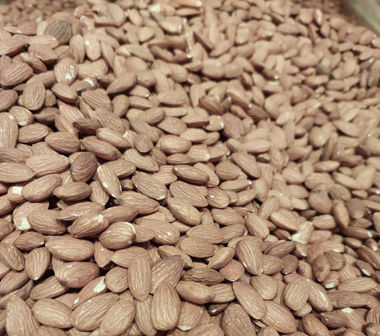 Миндаль, кешью и фундук: в Сибирь импортировано более 5 тыс Миндаль, кешью и фундук: в Сибирь импортировано более 5 тыс