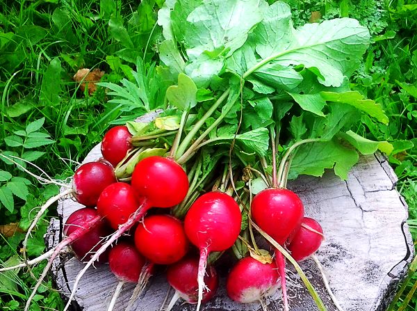 ��� ��������� ����� � ���������: ������� �������� �������