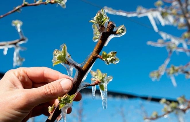 ������ ��� ���������� � �����: ��� �� �������� ��������