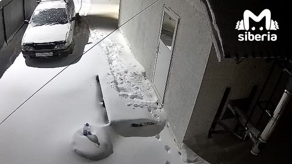 ���� ����� ����������� � ����� � ������� �������