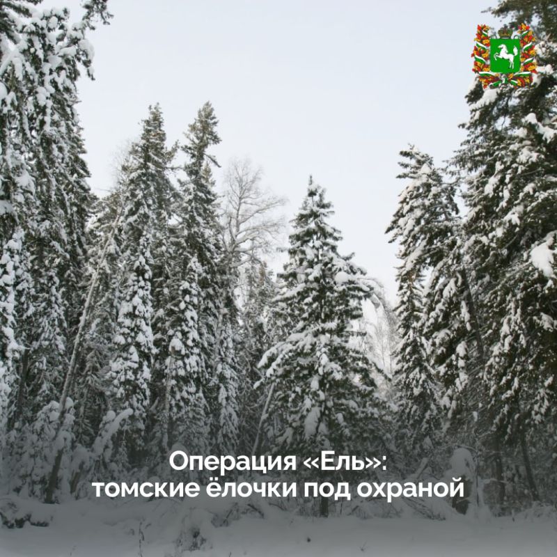 � ���������� ������ ���� � ������� ������� ����������� ����������� �������������� ����� ��� �������������� ���������� �������