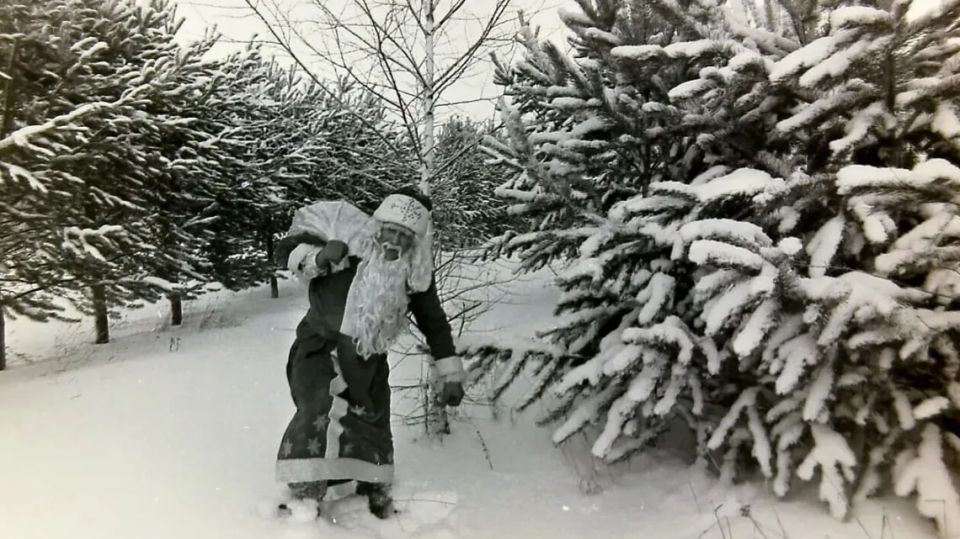 ���� ����� �� ���������: ��� ����� �������� � ������ ���� � 19 ����?