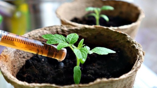 ������� �������� �������: 5 ���������� ��������� ��� ������ ������