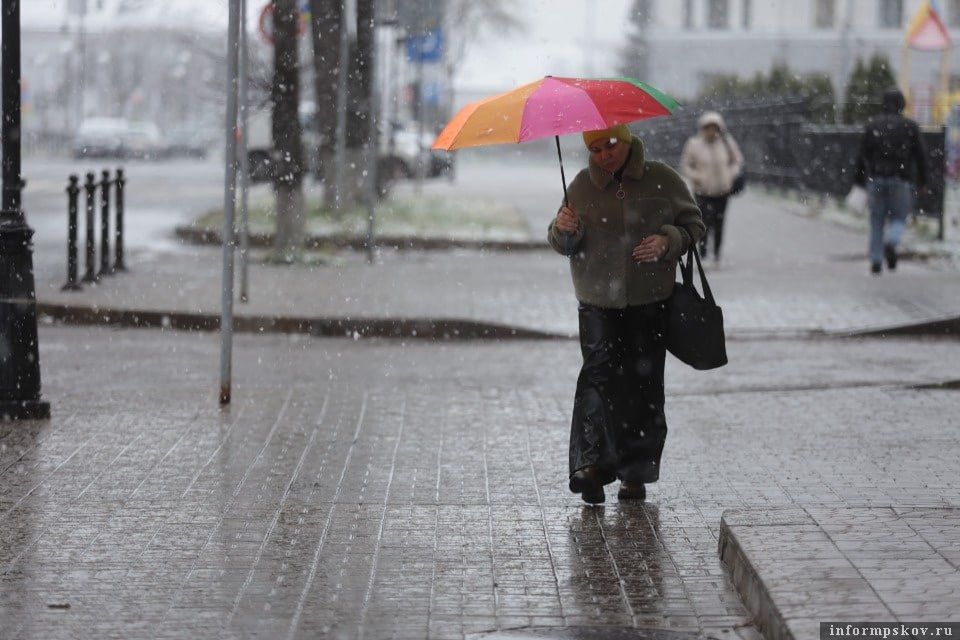 ��� ���� ������� � 1 �������: ����� ������ � ��������� � �����