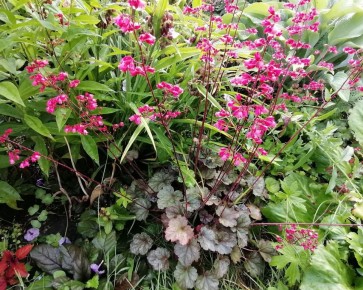 �������: �������� ��������� � ����� ����