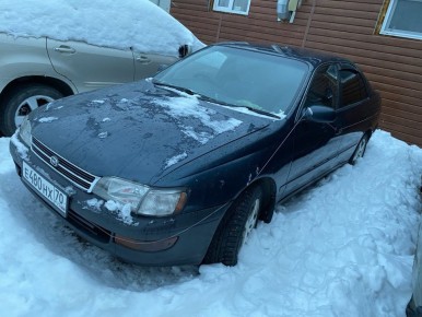 ��������� ������� � ��������� ������������ ��������� ���������� ��� ���������� ������������ ����������