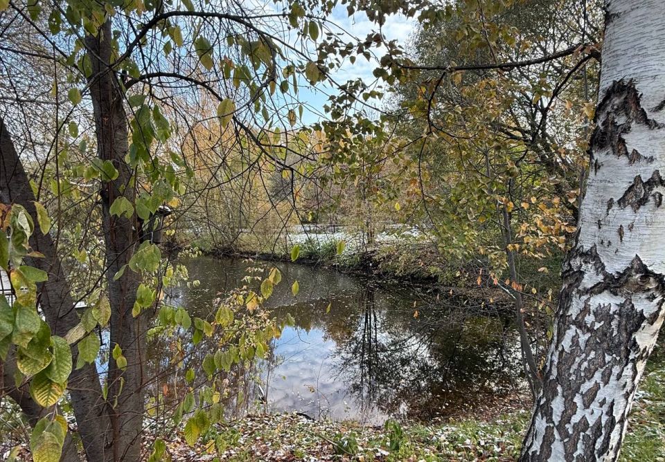 ��������� ������� ����������� ��������������� ����������� � ������������� �������������� ���������, ����������� �����-�������� ������ � ������������� ��������� ���� ����� �������� �������� ����