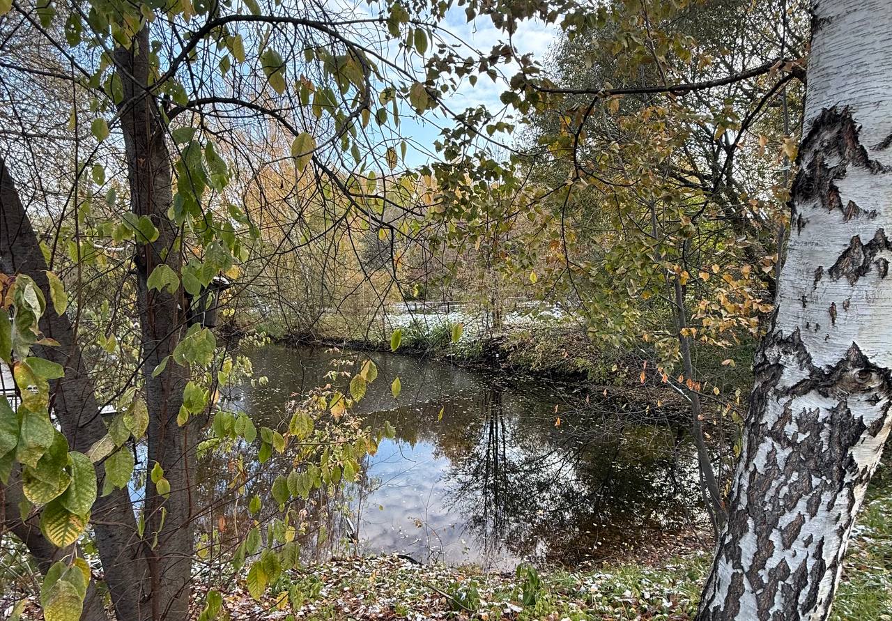 Благодаря Томской межрайонной природоохранной прокуратуре у Трубачевского припоселкового лесопарка, Коларовских водно-болотных угодий и Вершининского соснового бора скоро появятся охранные зоны